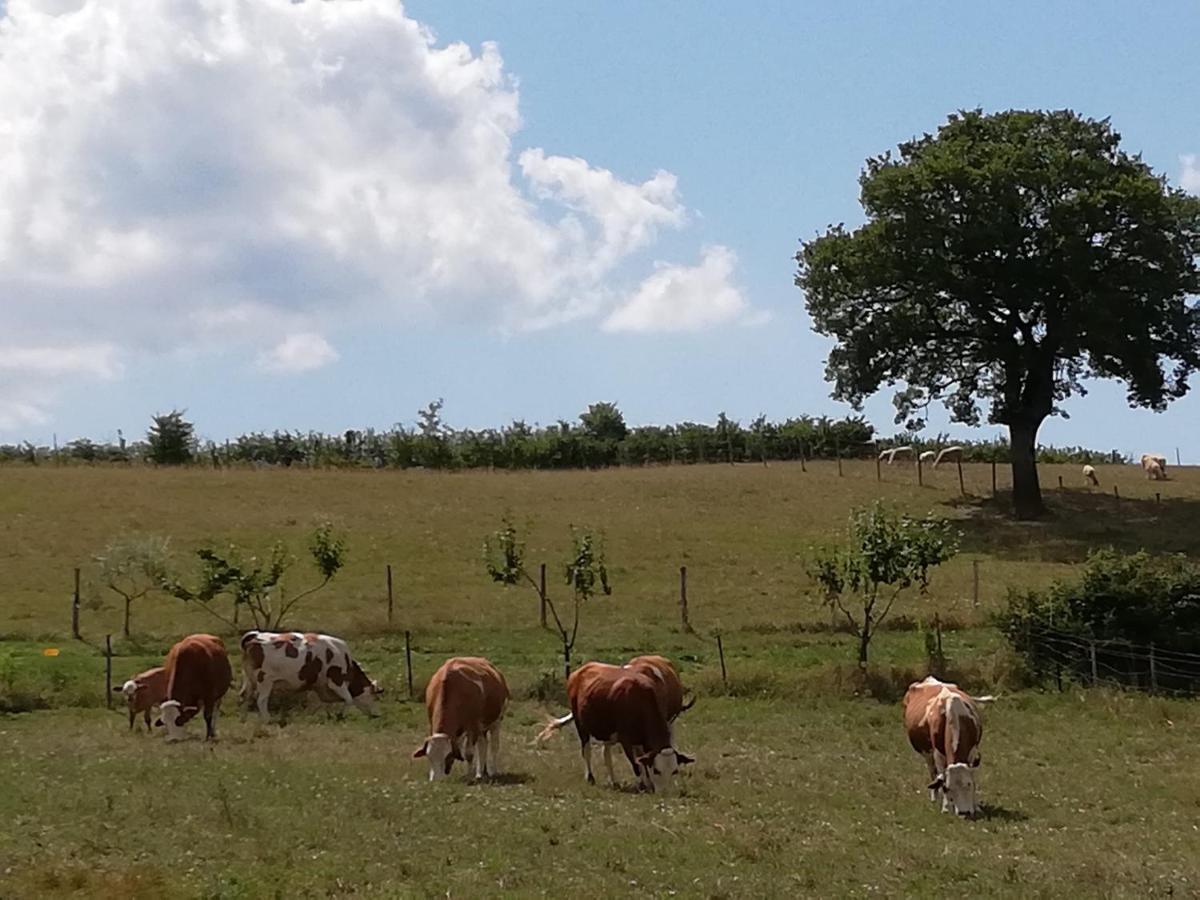 Valle Del Poggio ノチェーラ・ウンブラ エクステリア 写真